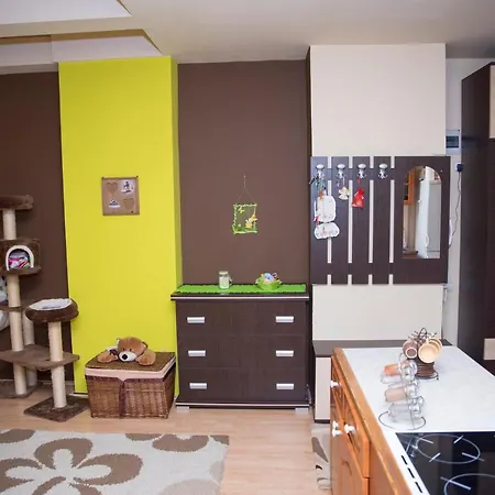 Penthouse Daire Kaposvár